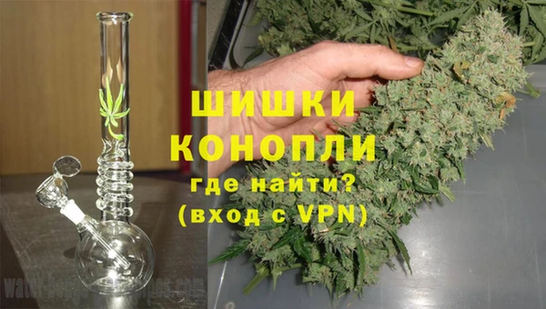 spice Верея