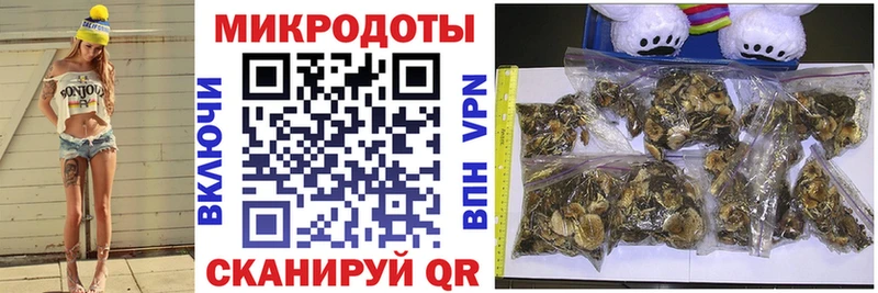 Галлюциногенные грибы прущие грибы  магазин продажи   Кировск 